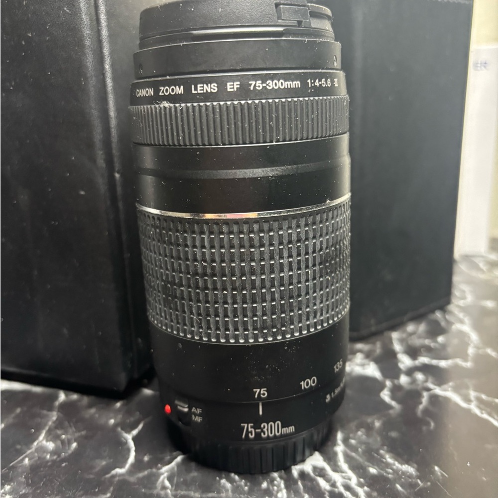 Canon EF 75-300mm Black Lens